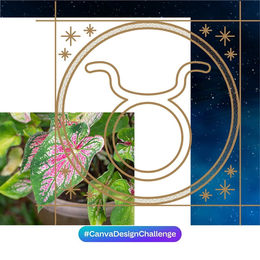 Continuing with our series describing the relationship between plants and the Zodiac signs, let&rsquo;s talk about Taurus. We are still in Taurus season, at least for a few more days, right?

Our slow and steady wins the race Taurus loves to surround