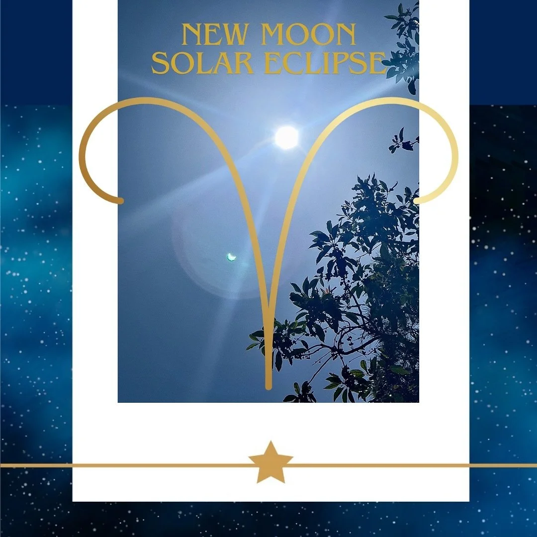 At the time of the new moon, I set intentions along with writing positive affirmations. Today, I added a gentle meditation which was simply wonderful. I focused very deeply on the connection between the moon and the sun. As the moon passes in front o