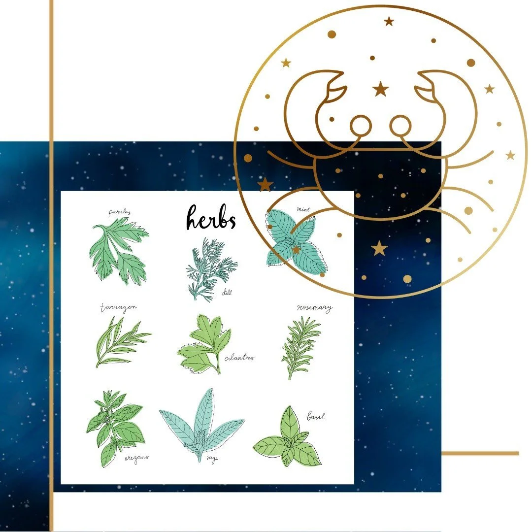 With the ingress into Summer in the Northern Hemisphere and Winter in the Southern Hemisphere, we welcome Cancer Season--the sign of the Crab. 

A water sign associated with the oceans, it is known for its complicated emotions. Like the waves breakin