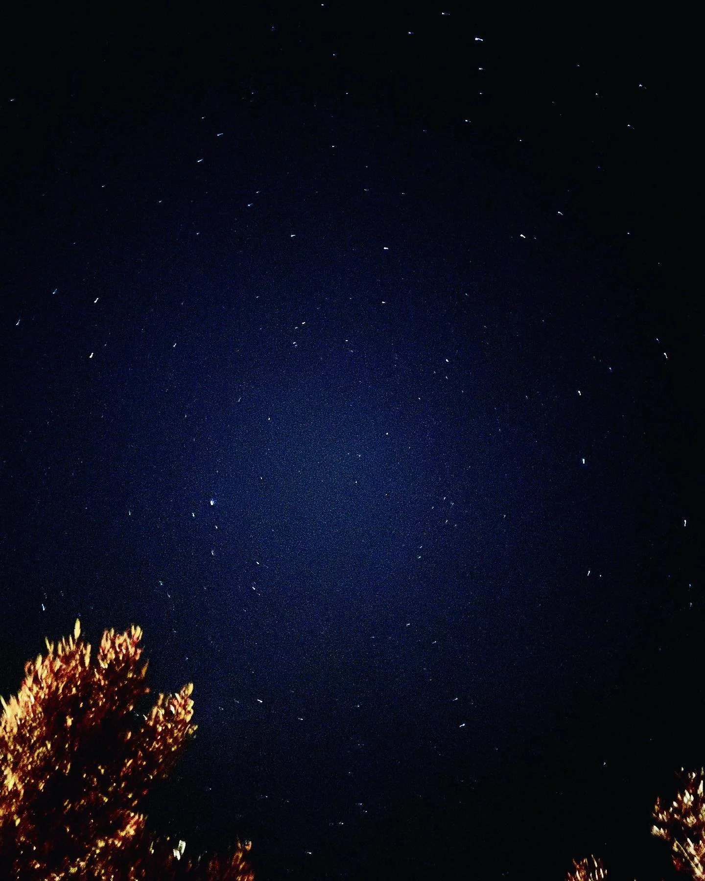 Happy Summer Solstice in the Northern Hemisphere and Happy Winter Solstice to our friends in the Southern Hemisphere✨

#astrology #horoscope #zodiac #summersolstice  #wintersolstice #astrologer #summernights #starrynights #stars