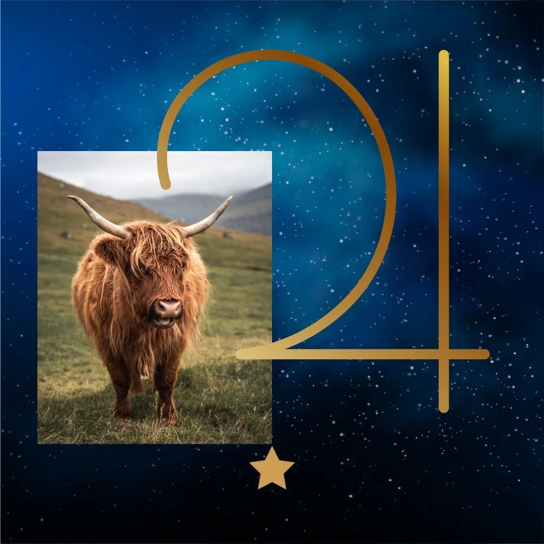 Jupiter has entered Taurus 🤩
This is one of the most auspicious placements if you have been looking for opportunity, growth and expansion in your material world. Jupiter, planet of luck and fortune will be transiting the sign of the Bull&mdash;our m