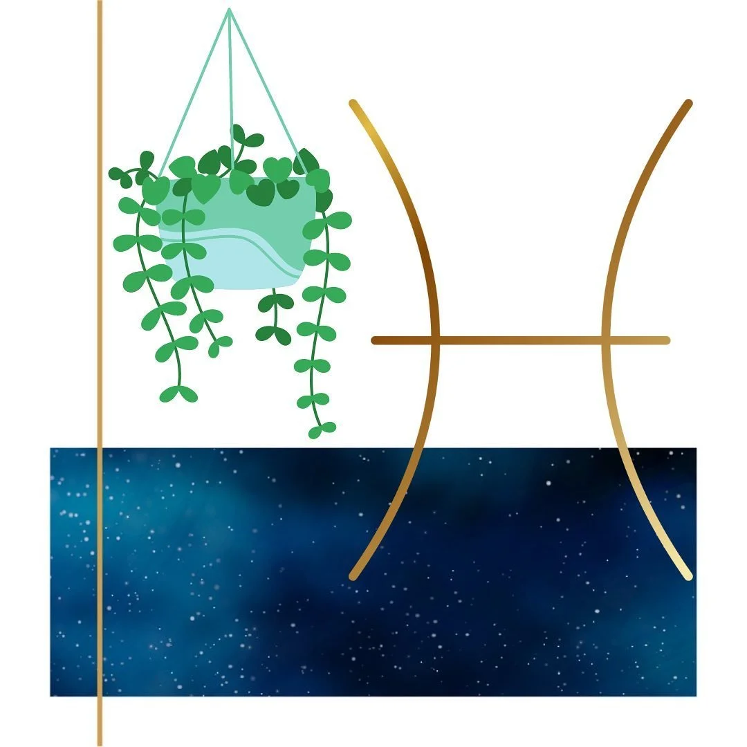 Spring is around the corner, so if you are looking for some inspiration and would like to bring the outdoors in for a little home refresh, consider choosing plants according to your zodiac sign.

We are still in #piscesseason, the 12th and final sign