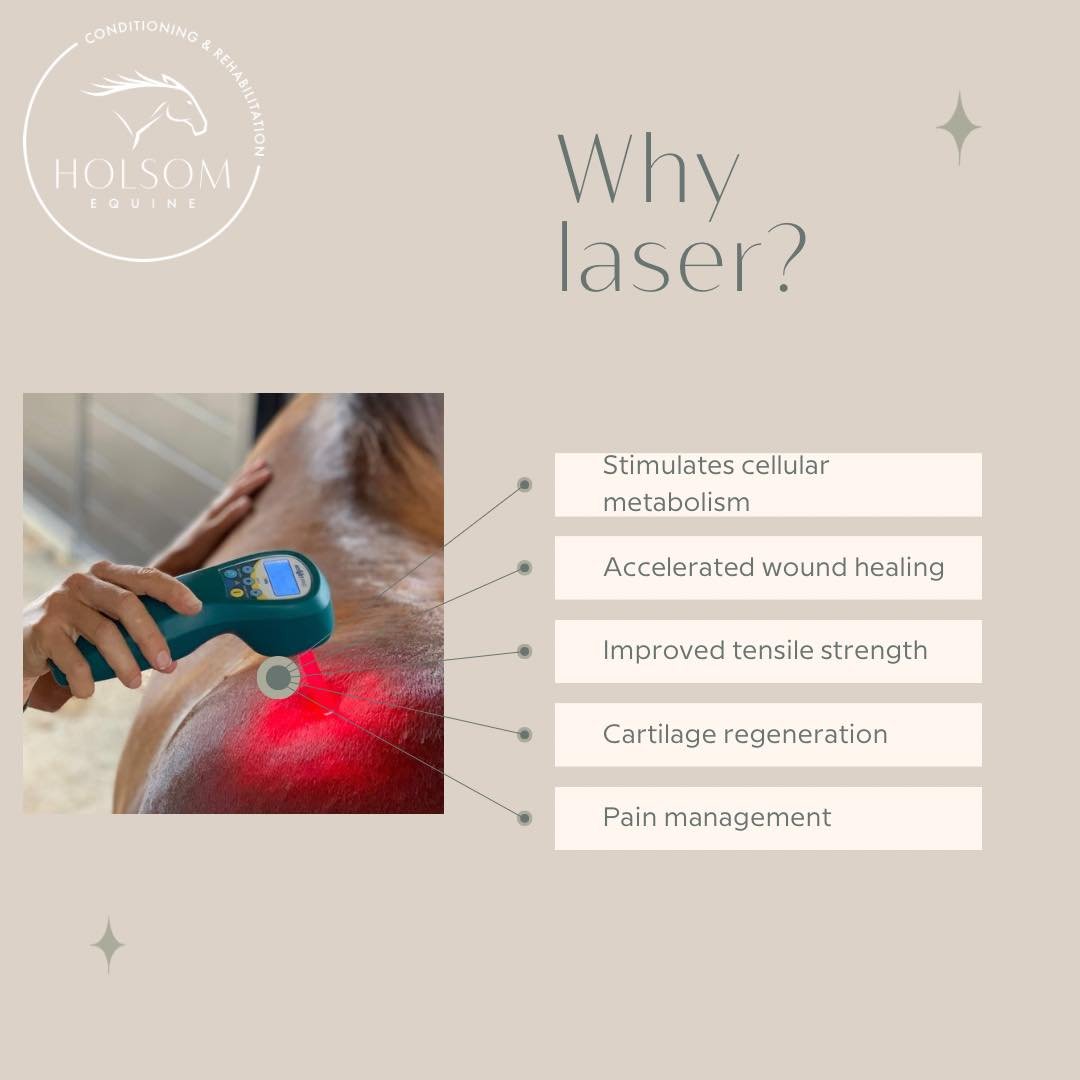 🄻🄰🅂🄴🅁
Our newest addition to the line up!
We are extremely excited for this one. We deal with ALOT of wounds and suspensory ligaments and this will be a game changer! Get in touch to find out if this is a good fit for your horse!
#multiradiancel