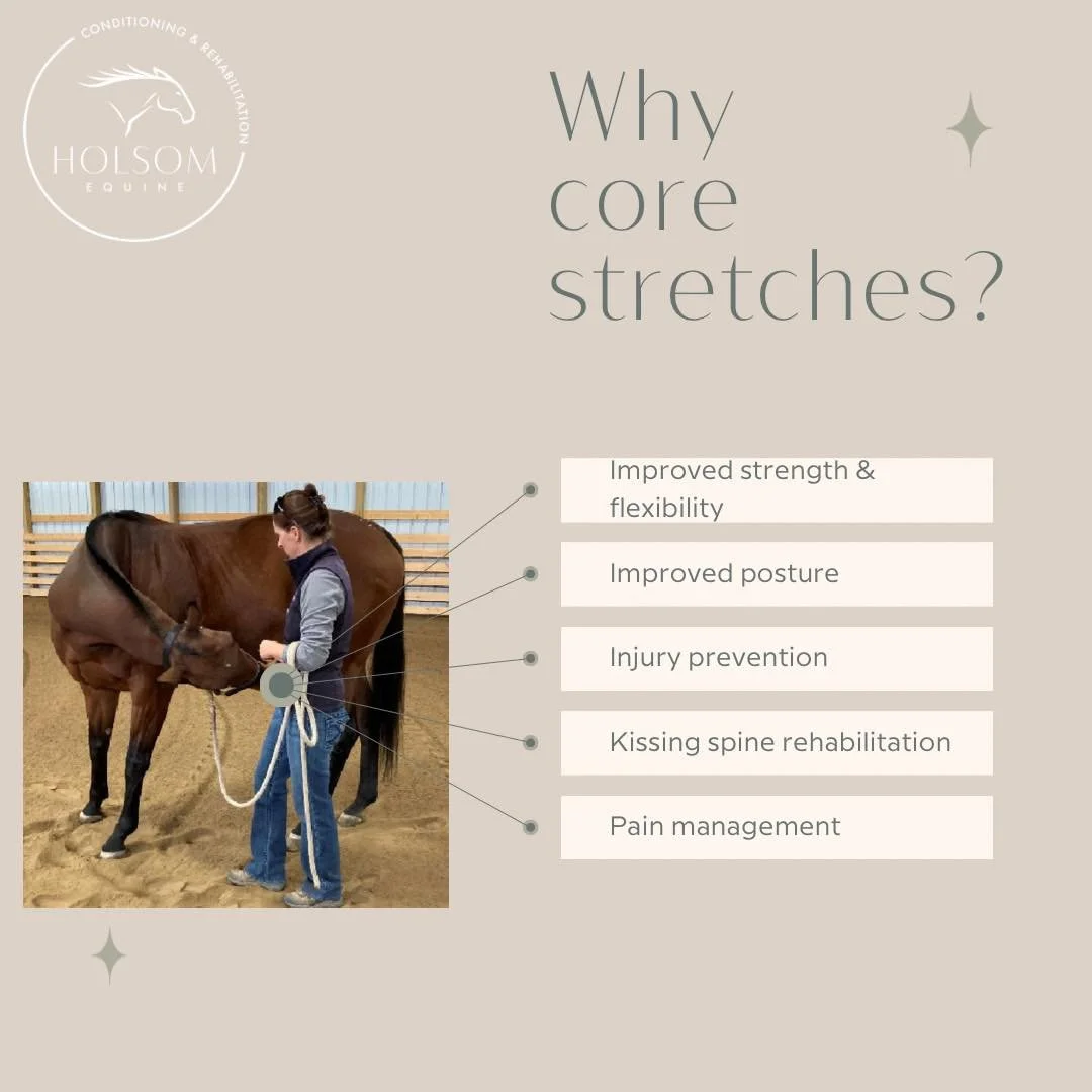 Ｓｔｒｅｔｃｈｉｎｇ
Little movements create big results. Stretching is a key part of conditioning and rehabilitation and a necessity.  Dr. Hilary Clayton writes a phenomenal book with great descriptions and pictures  on all of the stretching exercises that we