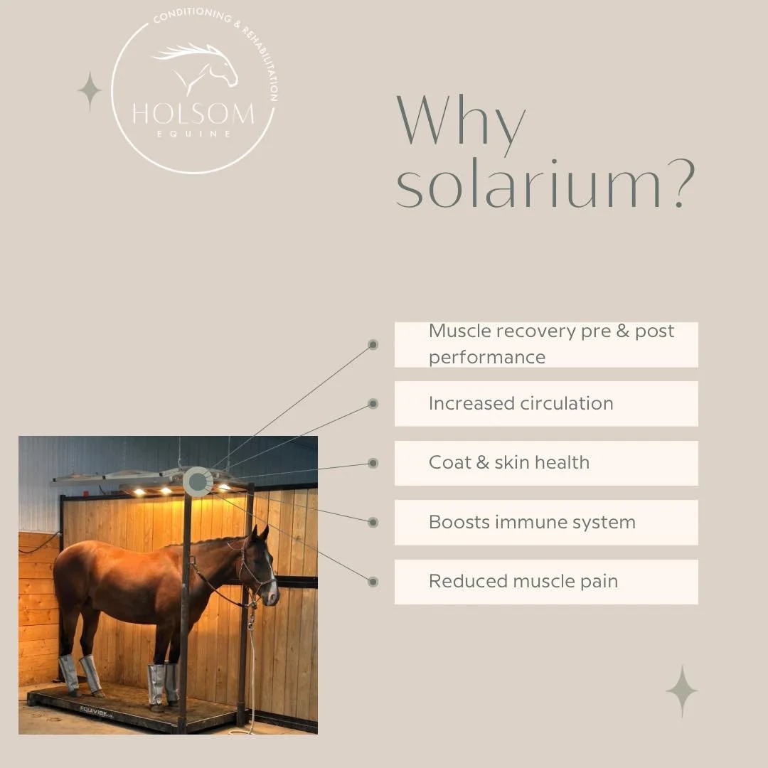 🆂🅾🅻🅰🆁🅸🆄🅼

☀️ sunshine makes me happy AND feel good 

#drimee #solarium #holsomequine #southernalberta #equineconditioning #equinerehab #stallrest #alberta #rodeo