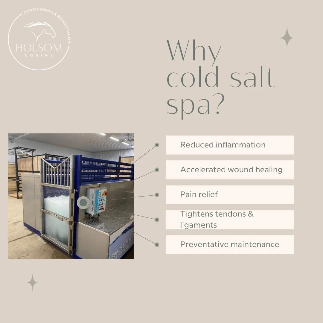 🅒🅞🅛🅓 🅢🅐🅛🅣 🅦🅐🅣🅔🅡 🅢🅟🅐
The benefits of cold plunges don&rsquo;t just stop at humans. 
Think 1500L of Icy cool water, 250lbs of Epsom &amp; pool salt, and massaging jets. 💆&zwj;♀️

Included in our E̲l̲i̲t̲e̲ C̲o̲n̲d̲i̲t̲i̲o̲n̲i̲n̲g̲ Pack