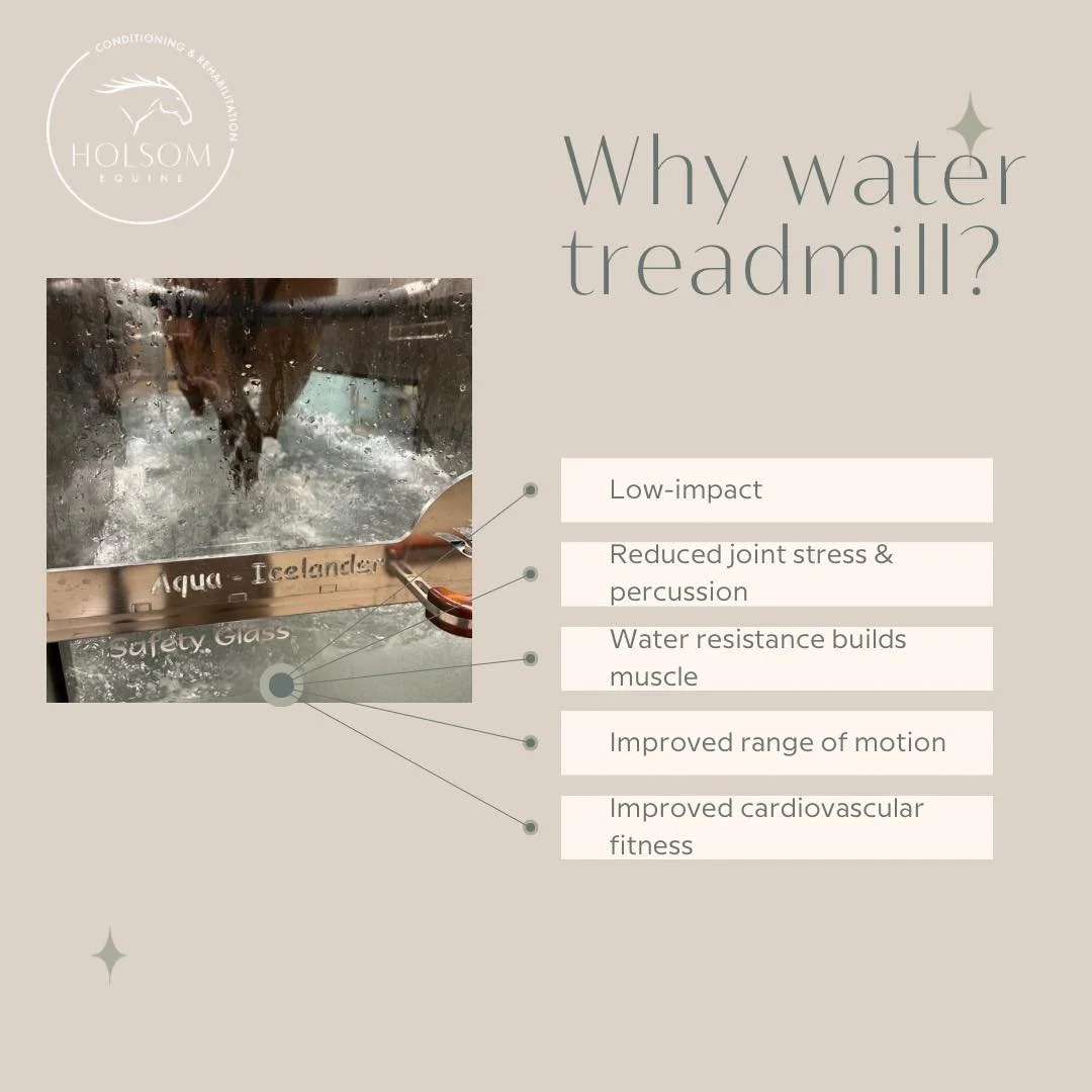 🆆🅰🆃🅴🆁 🆃🆁🅴🅰🅳🅼🅸🅻🅻

So many benefits, so little time! 
Achieve roughly 60min in 20 and have a focus driven, custom designed effective workout without ever leaving the barn. 
Our 2026 spring conditioning book is open and waiting for you!
📞