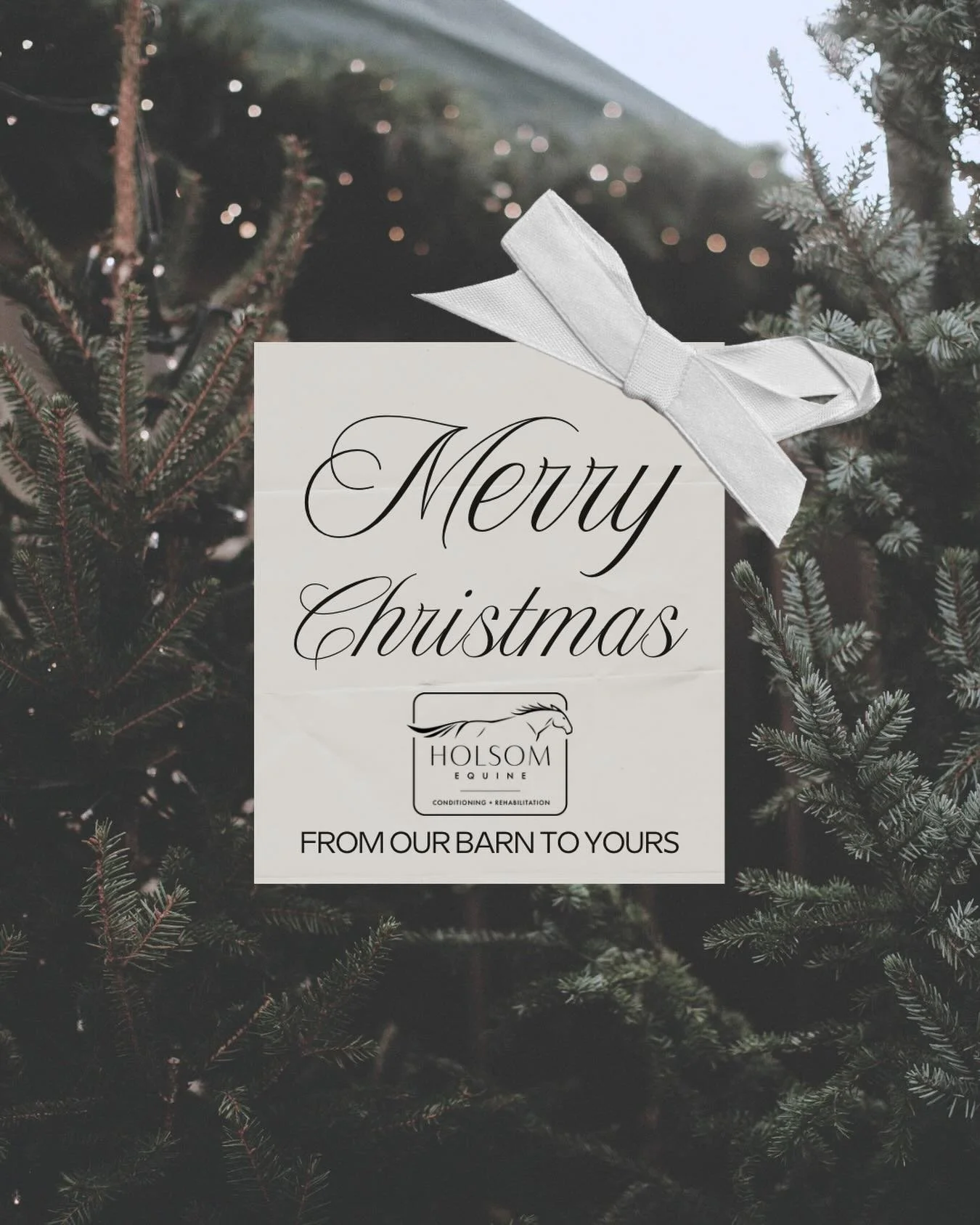 🌲 Merry Christmas 🎄