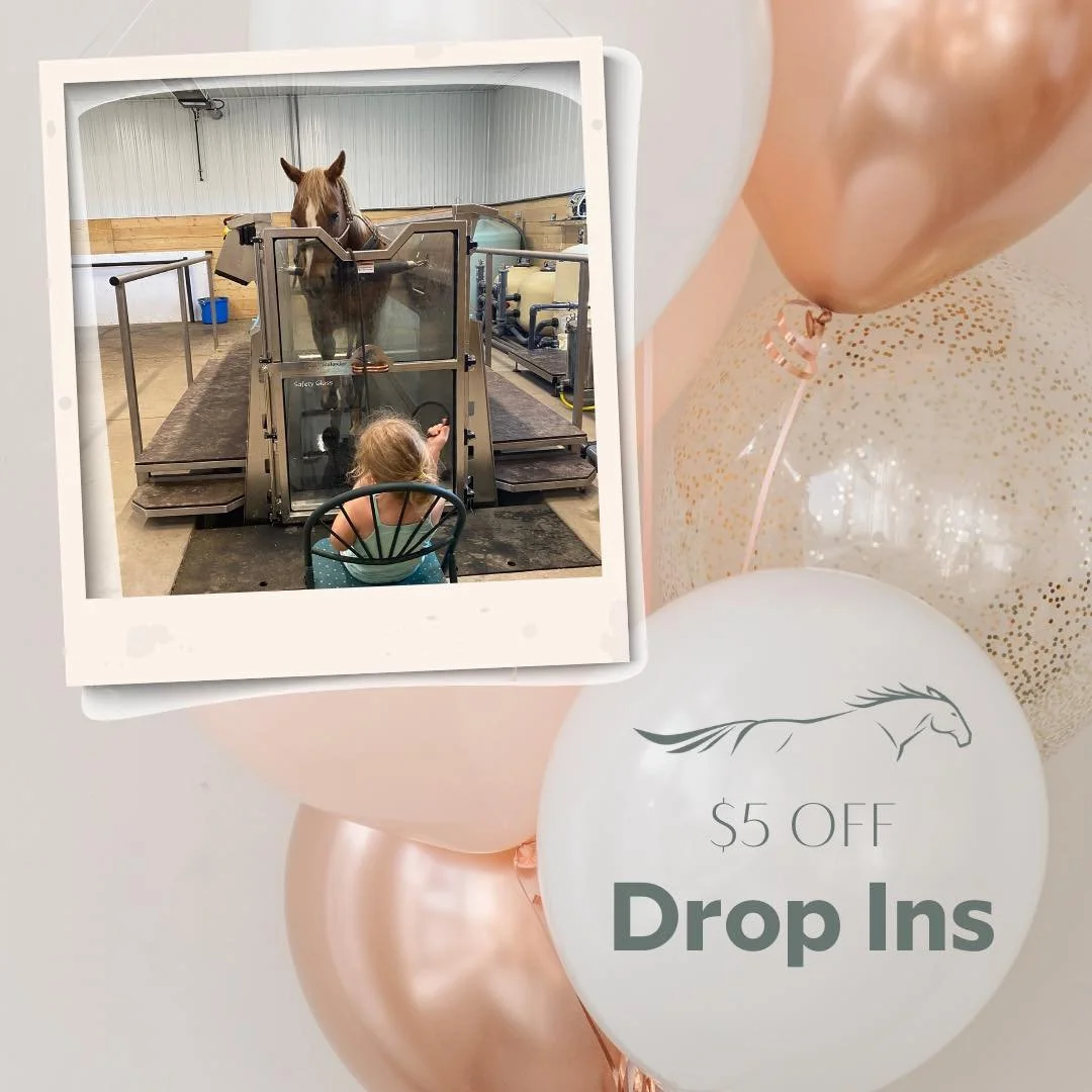 𝐃𝐑𝐎𝐏 𝐈𝐍
Where all our locals at?!?! 
Enjoy $5 off your next service. 

All discounts must be purchased by Monday March 9th at 7pm. Call, text, email or messenger to claim. 📱 📧