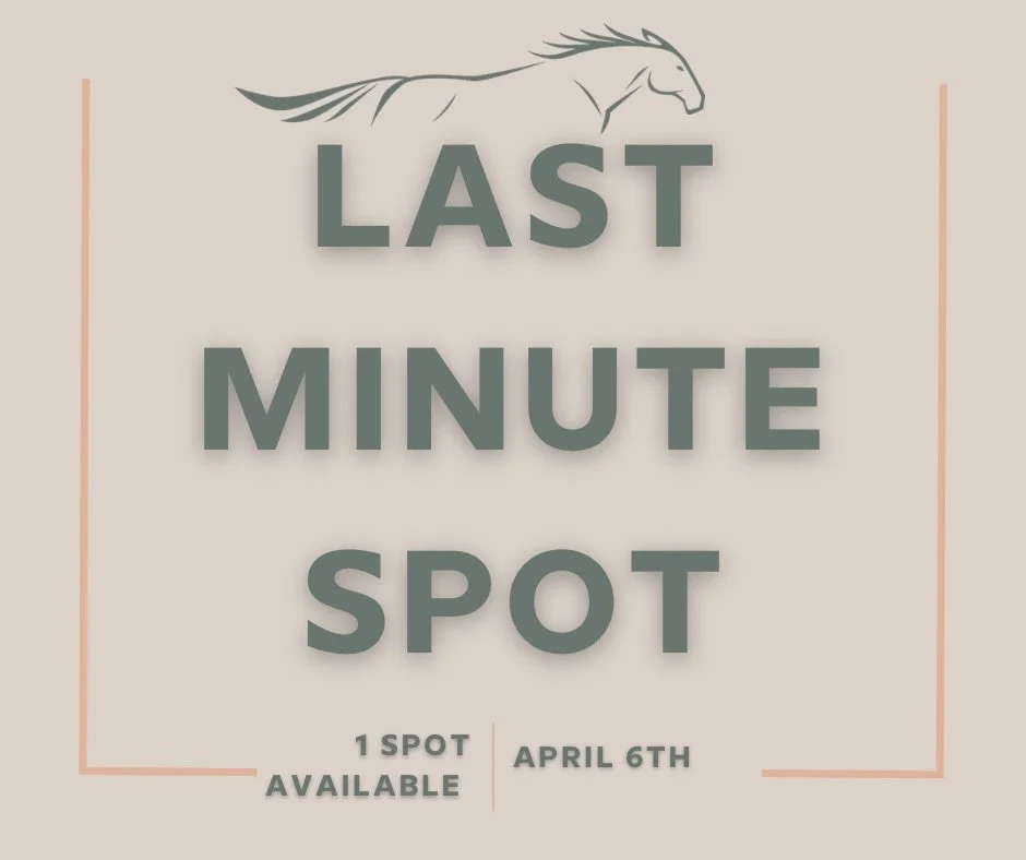 𝟏 𝐒𝐩𝐨𝐭 𝐀𝐯𝐚𝐢𝐥𝐚𝐛𝐥e
We&rsquo;ve had a last minute change of plans! If you&rsquo;ve been wanting to book in, now&rsquo;s your chance! 
Call or text (403)548-0484 and we will get you booked in.
#holsomequine #equineconditioning #southernalber