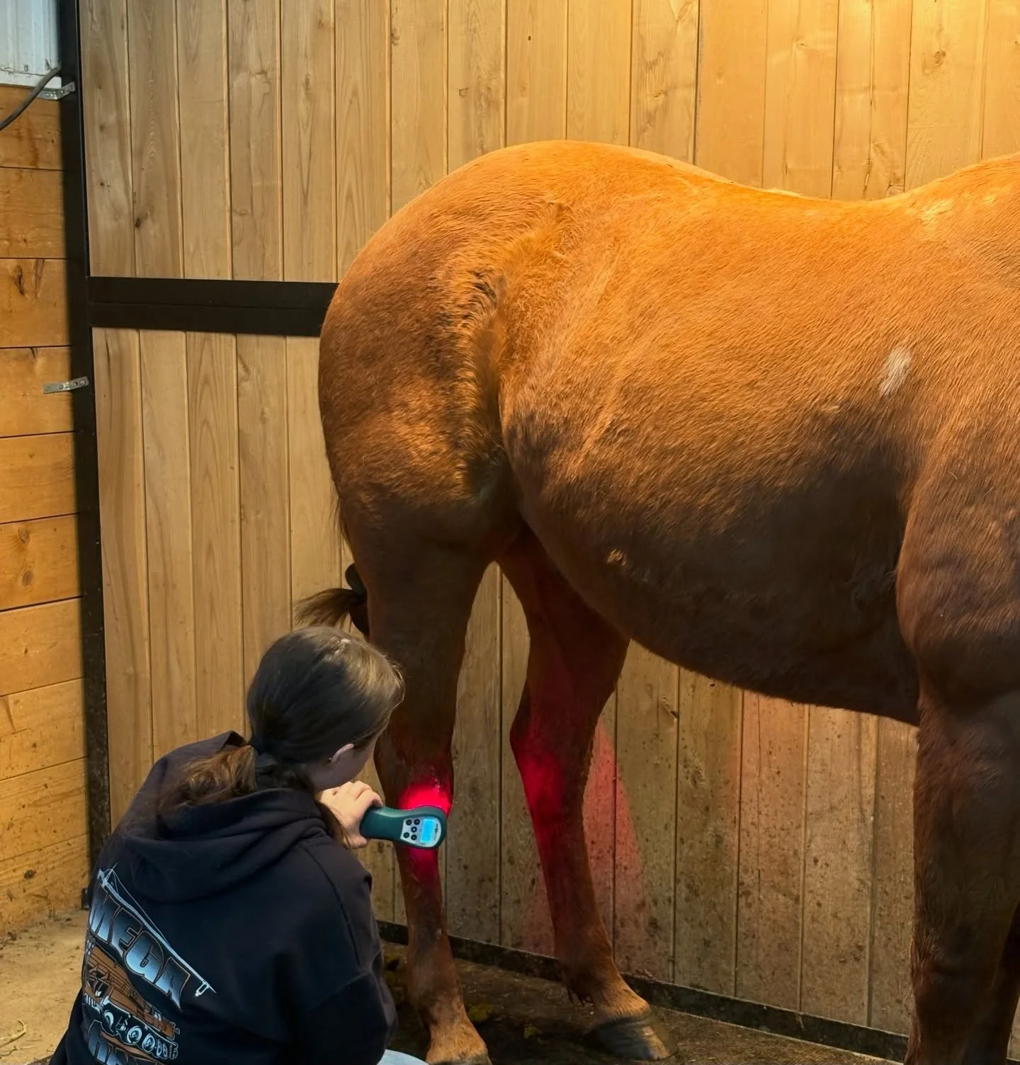 The WHY?

Holsom Equine was created to help horse owners rehab and condition their horses so they stay sound, strong and ready to perform.

Wondering how we can help you?

Dm us, we&rsquo;re always here! 

#laser #watertreadmill #coldsaltspa #solariu