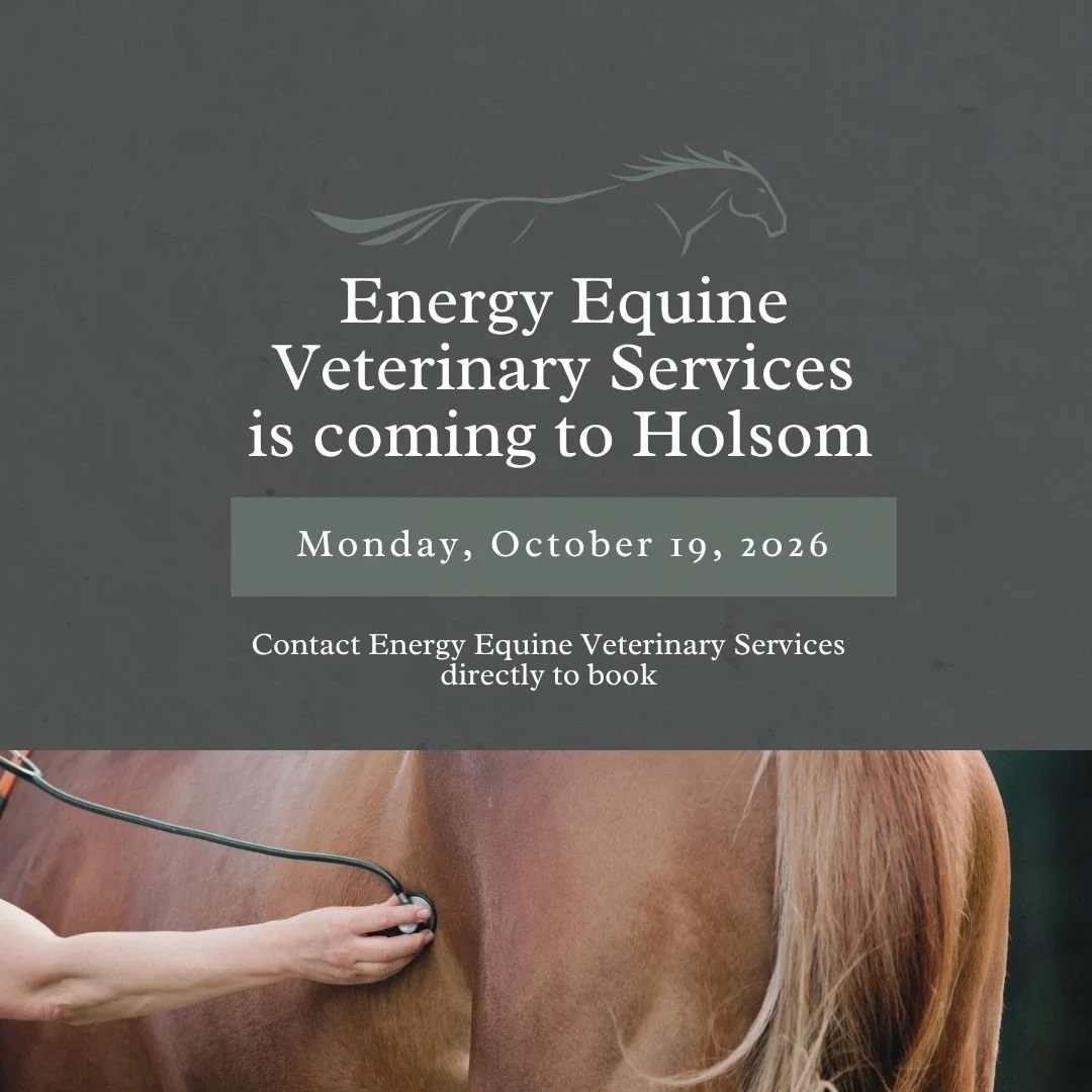 Mark your calendar. Energy Equine veterinary service will be at Holsom Equine on Monday, October 19.

This is an opportunity to have your horse seen by the Energy Equine team while they are on site at Holsom. Appointments are limited, so contact Ener