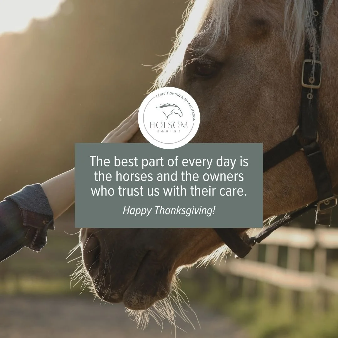 Grateful today and every day.

Thank you to the horses who teach us something new with every session, the owners who trust us with their care, the veterinarians and practitioners we are lucky to work alongside, and the local community that keeps show