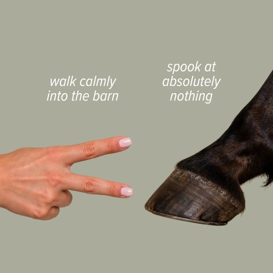 Rock, paper, scissors, except the horse plays by their own rules ✌️

Story of our life around here. We make a reasonable request, they counter with their opinion. Guess who usually wins?

Wouldn&rsquo;t trade it for anything though. We love this job 