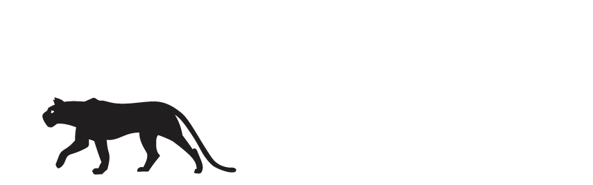 Rock Jungle Climbing