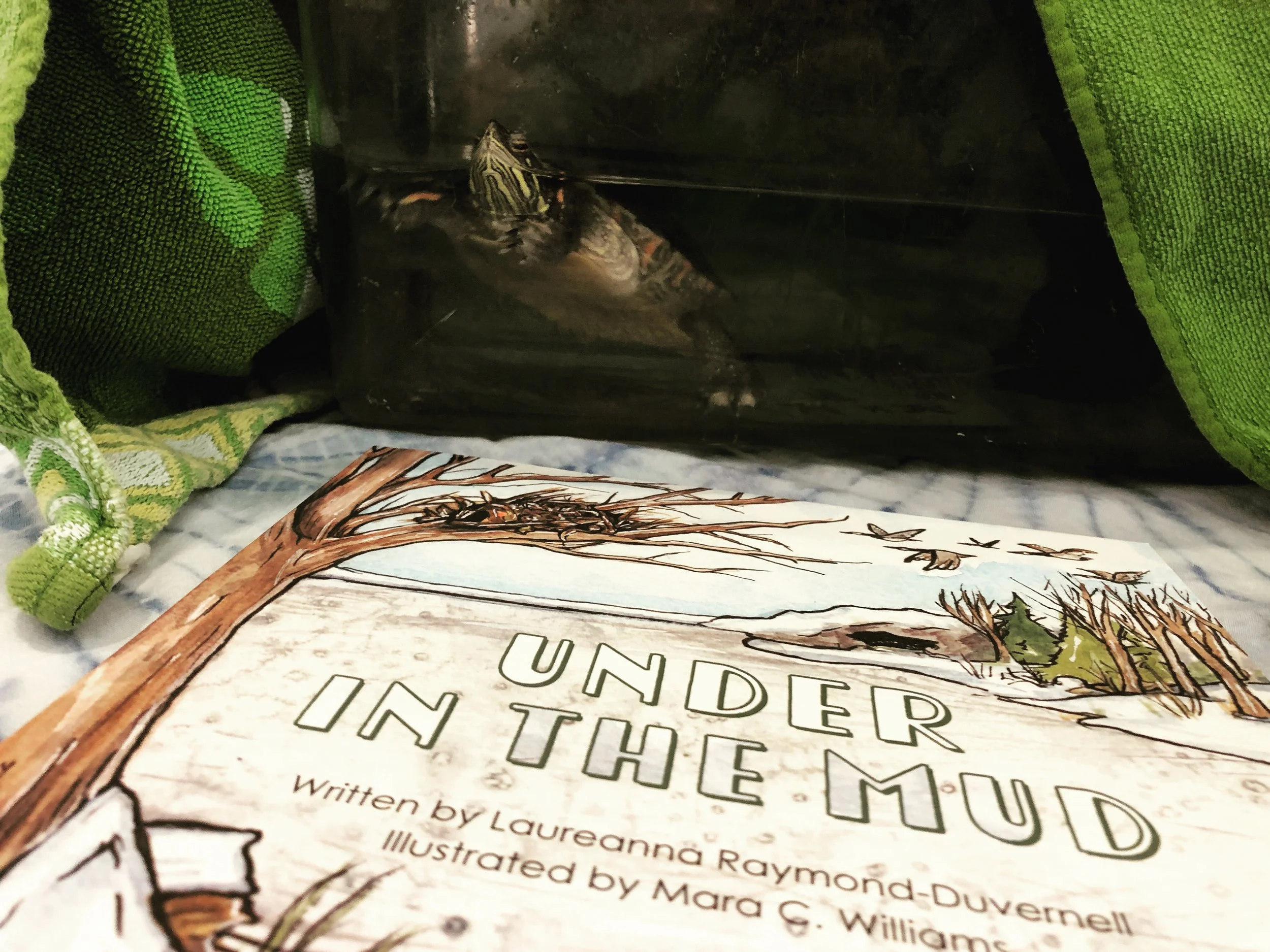 A painted turtle swimming next to the book "Under in the Mud"