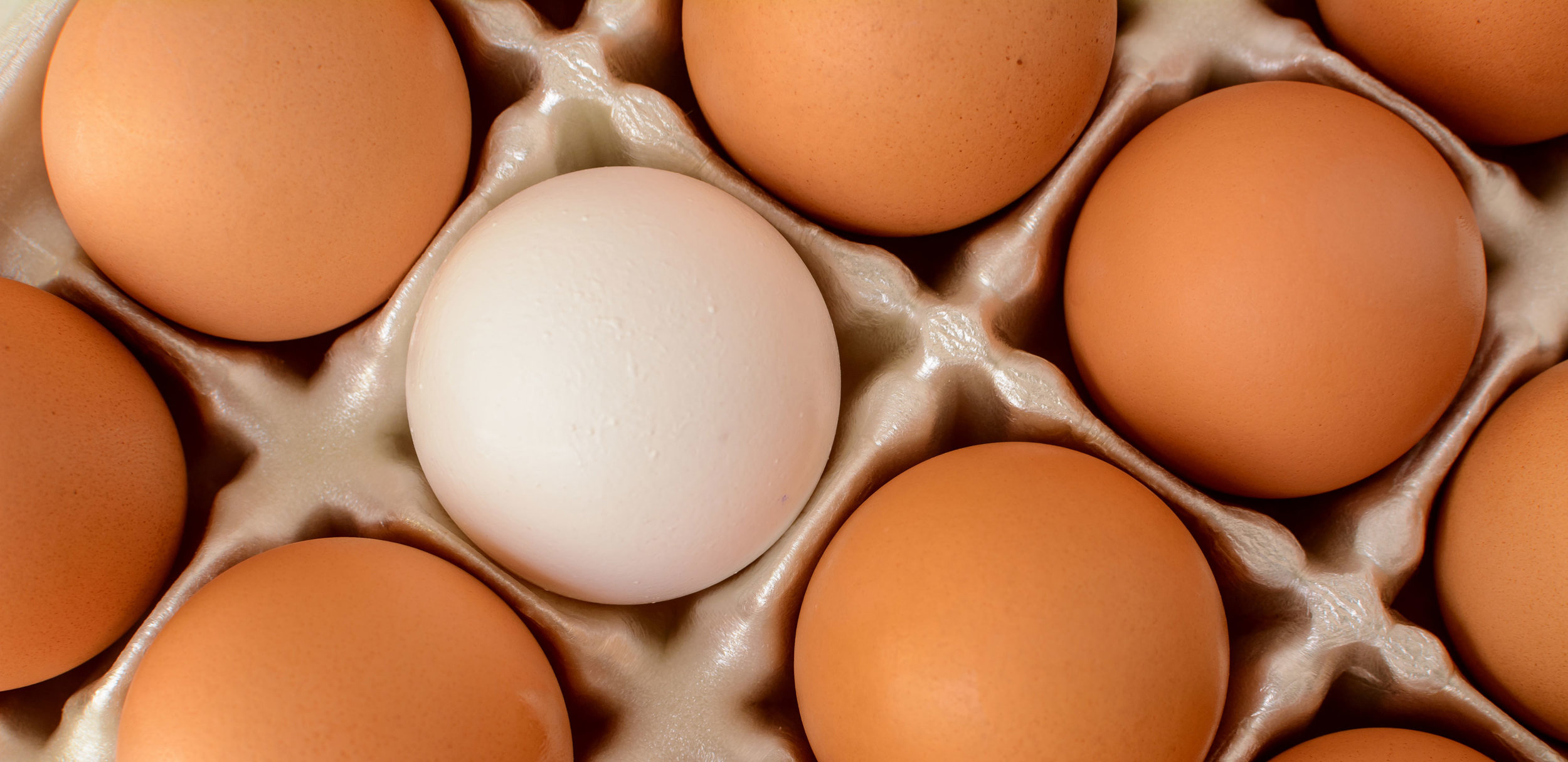 All in the family: Applying a common style to your game's components