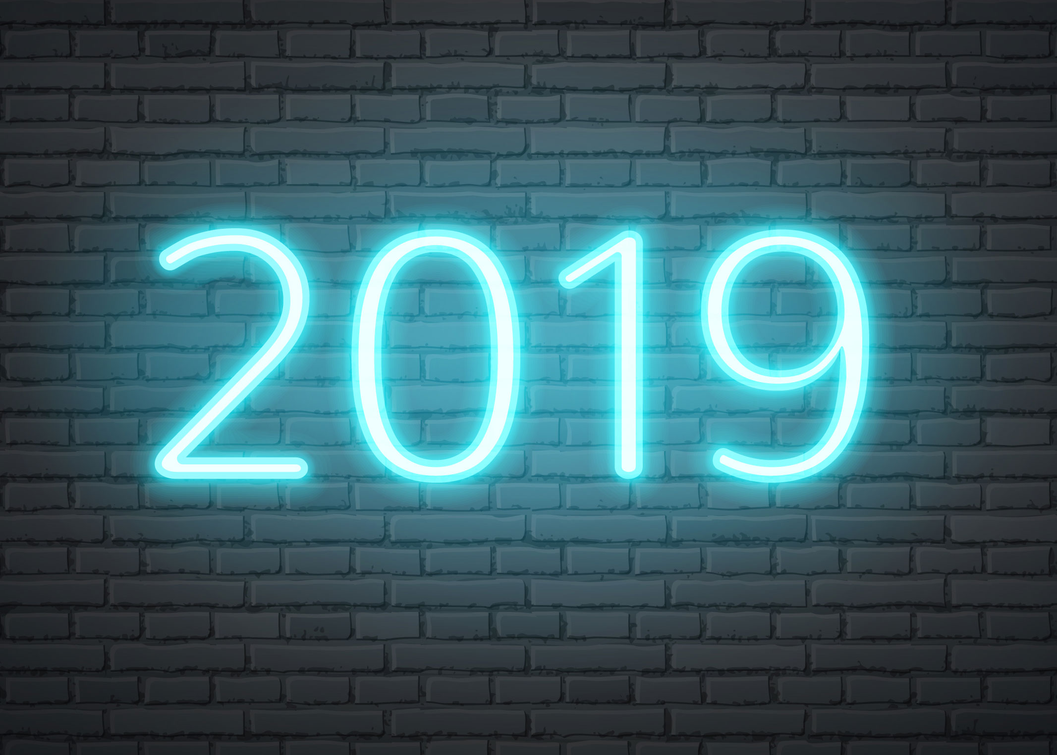 2018: The Year I Invested in Cardboard