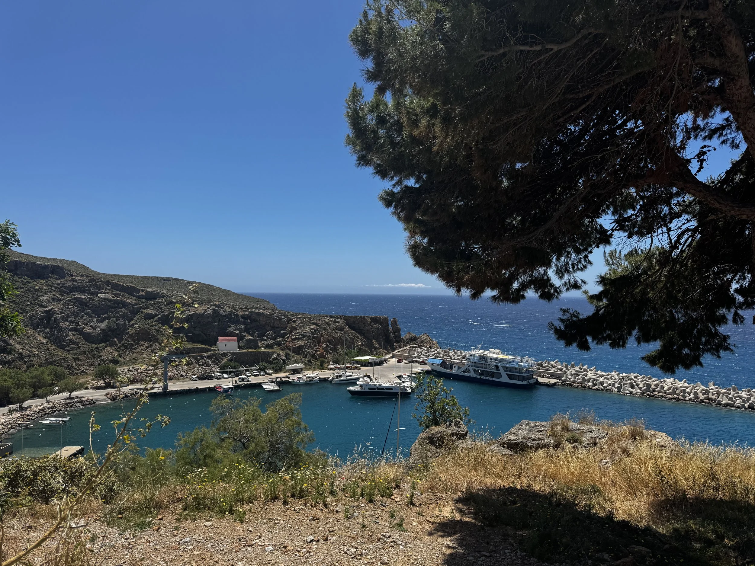 IMG_4786.jpeg