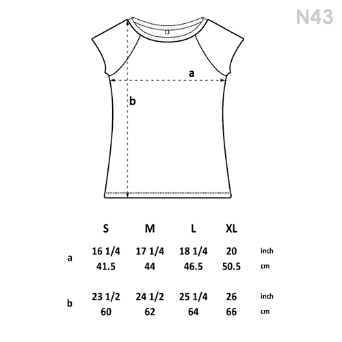 n43.gif