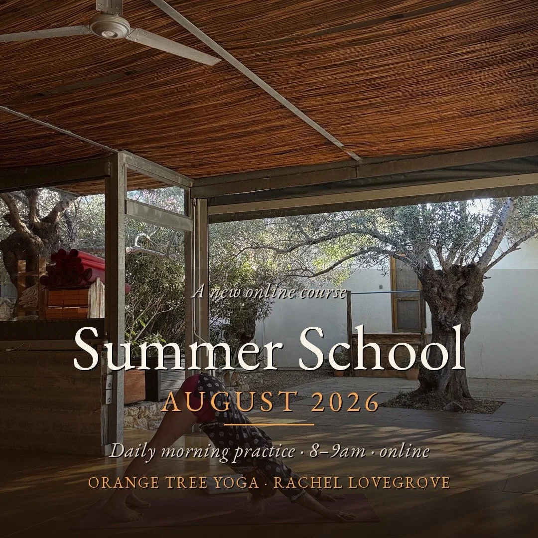 Summer School Online