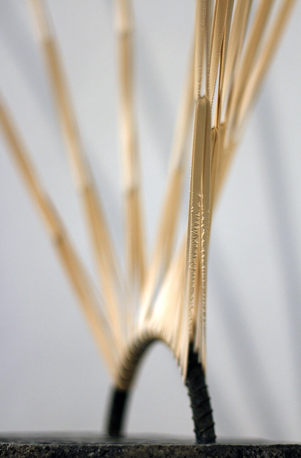 0004CU8-2.jpg