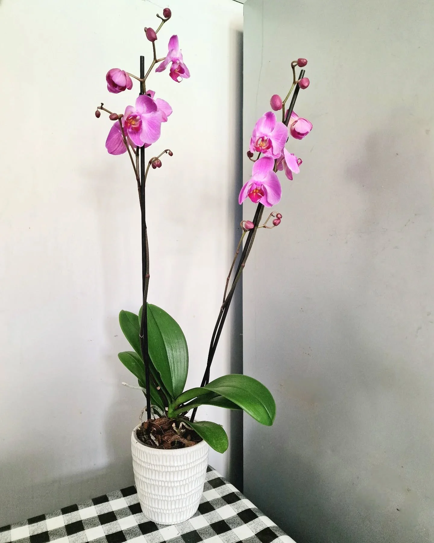 Last week was very strange for me. My little boy turned 1 and then two days later, I turned 40. I thought a lot about all the things that happened in the previous 365 days (I guess what most people were doing on 31st Dec/1st Jan) and although most of