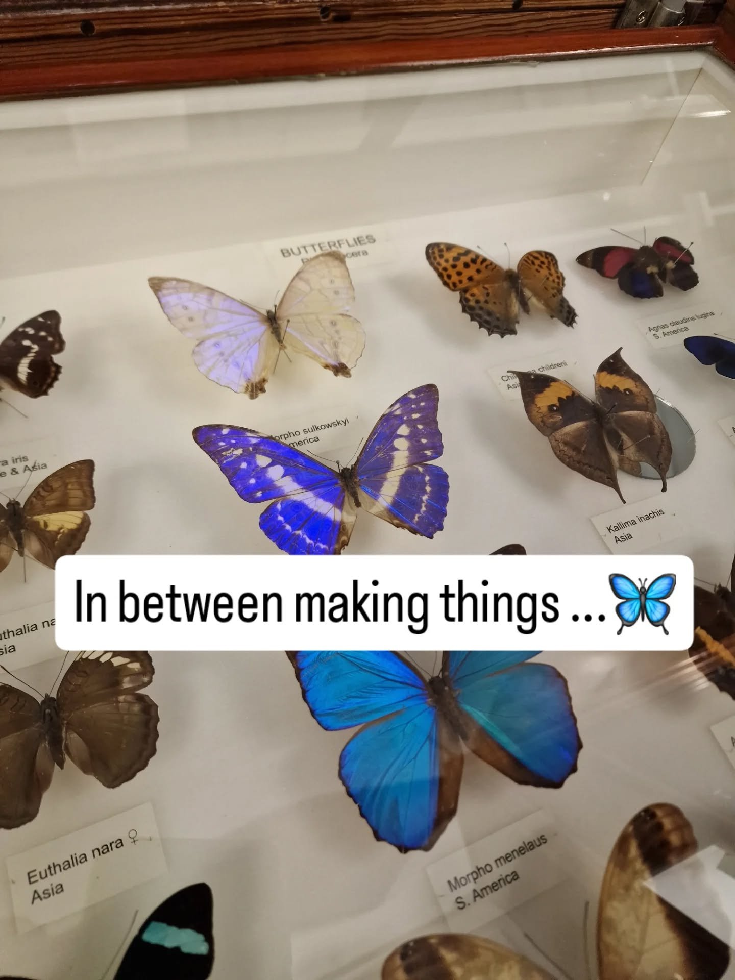 Things I've been up to in between making things 🌟🌸 #smallbusiness #handmadelife #creativelife