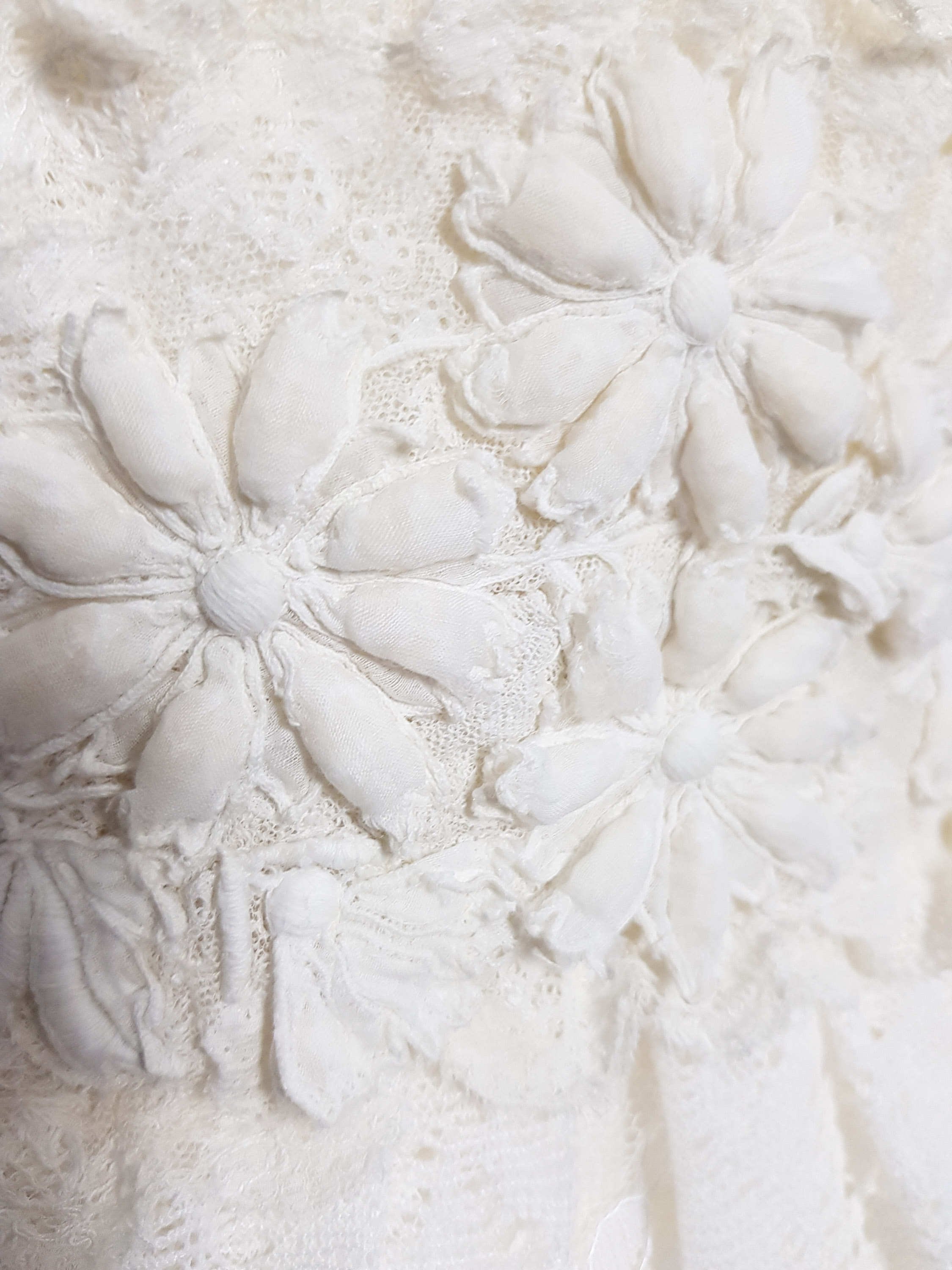 anise-17.jpg