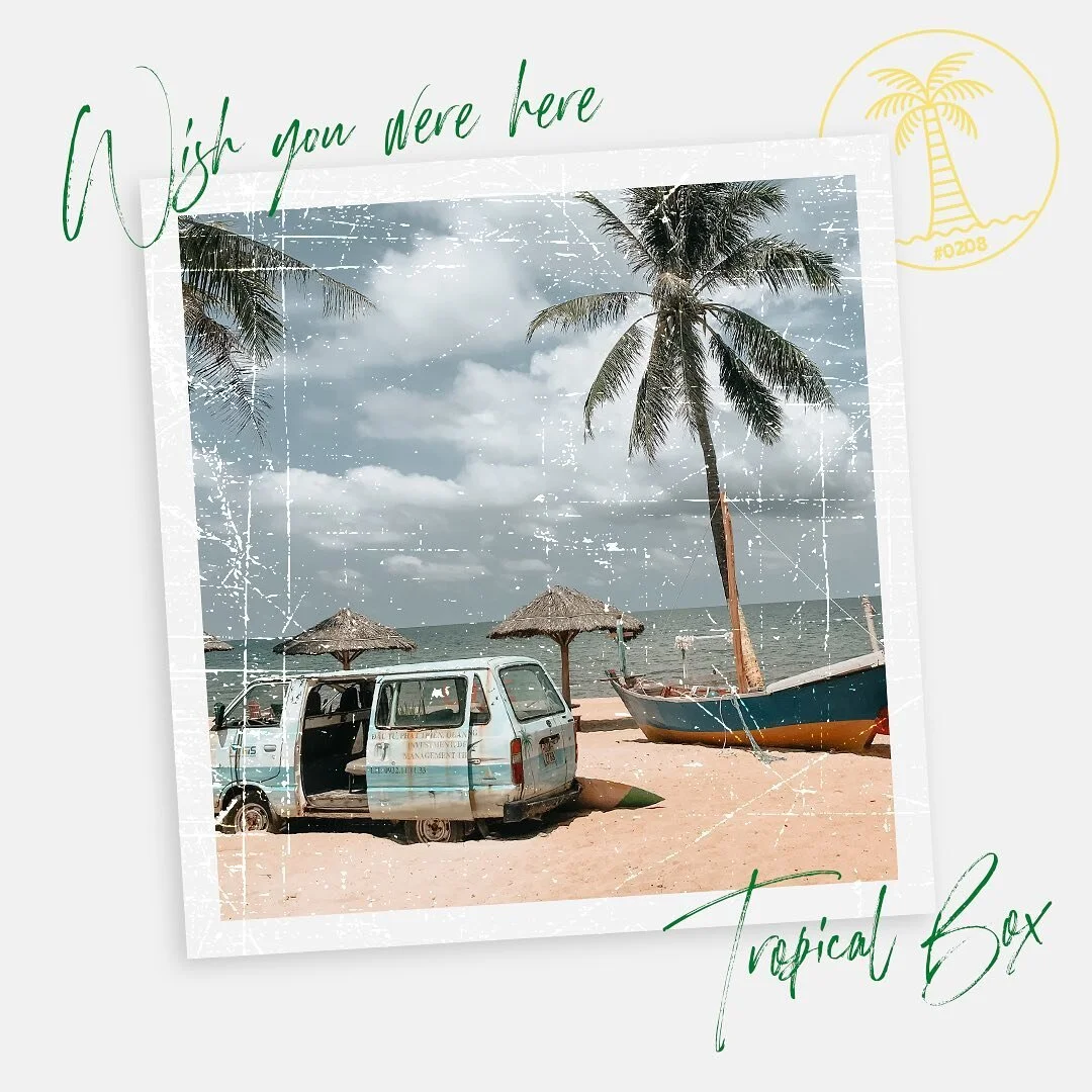 Do you wish you were here? I know we do...
📍 Phu Quoc Island Kien Giang, Vietnam 🏝 
📸Photo by @tonyphamvn
#TropicalBox #TropicalBoxUK #Starfruit #TropicalFruit #ExcoticFruit #VeganFood #CleanEating #Plantbased #HealthyLifestyle #HealthyLiving #