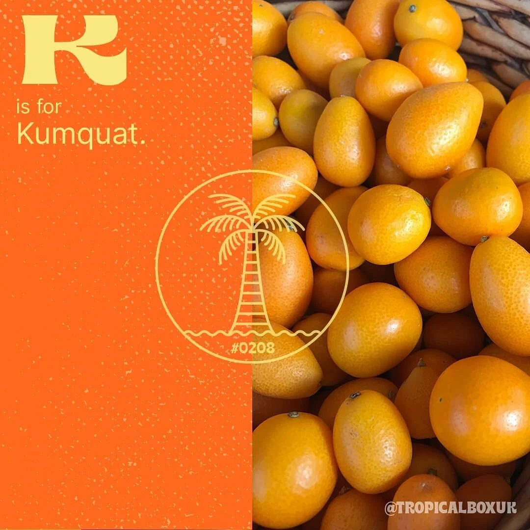 #DidYouKnow Kumquats were used in folk medicine to treat coughs and colds.....
#TropicalBox #TropicalBoxUK #Kumquats #TropicalFruit #ExcoticFruit #VeganFood #CleanEating #Plantbased #HealthyLifestyle #HealthyLiving #Fruitarian #TropicalBoxRecipe #tr