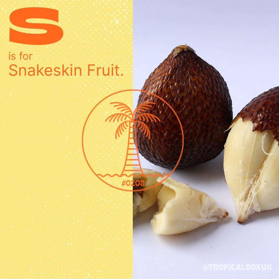 Snakeskin fruit aka Salak has high levels of potassium, thiamine, iron, calcium, and Vitamin C.

#TropicalBox #TropicalBoxUK #Snakeskinfruit #TropicalFruit #Salak #ExcoticFruit #VeganFood #CleanEating #Plantbased #HealthyLifestyle #HealthyLiving #Fru