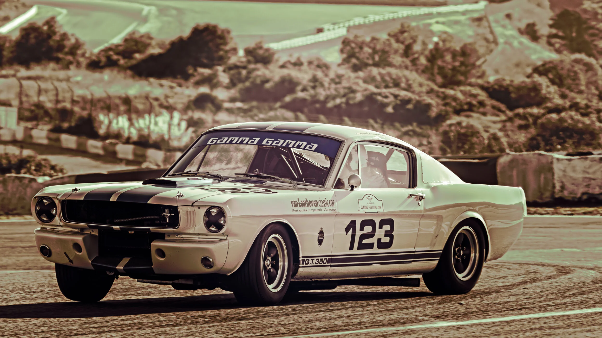 Estoril Circuit, Portugal. Racing Festival 250KM Endurance Nov 2017. Marcel van Laarhoven - Ford Mustang Shelby 350 GT