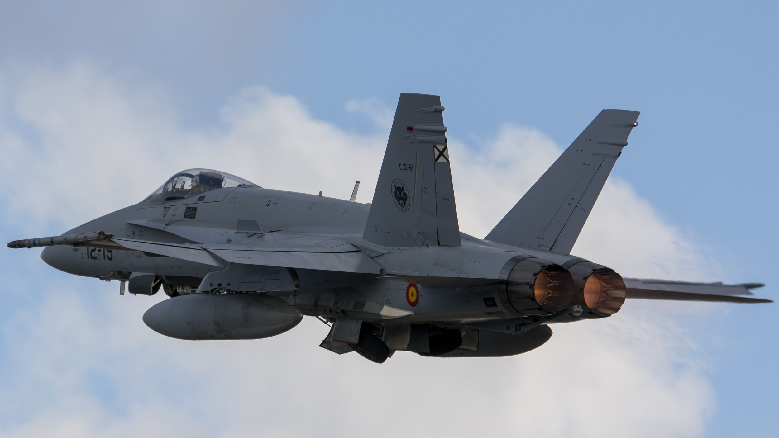 FAP BA5 (Monte Real, Portugal) Real Thaw 18. Spanish Air Force C.15-61 McDonnell Douglas EF-18A Hornet