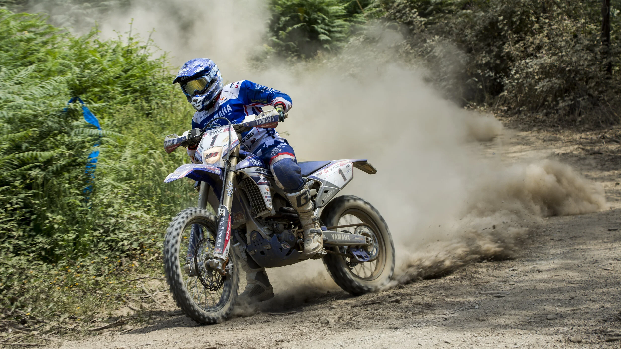 Baja TT do Pinhal 2017, Sertã, Portugal. António Maio - Yamaha WR 450 F
