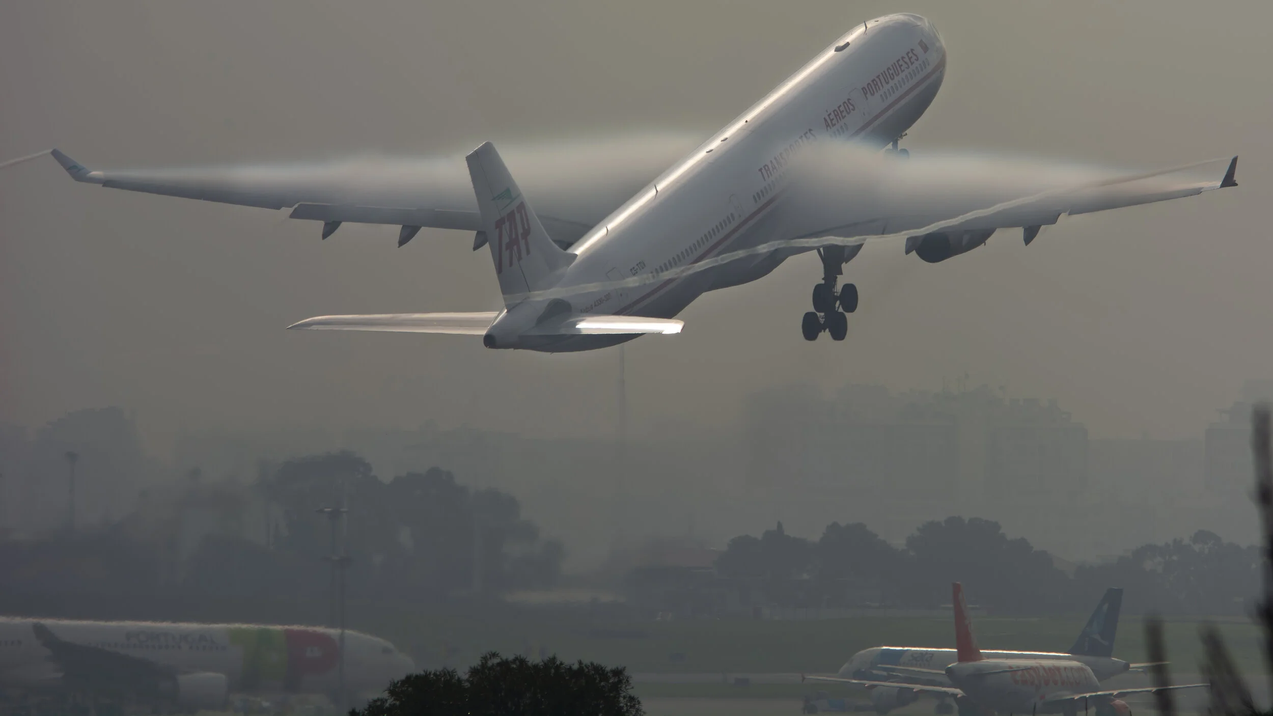 LPPT (Lisbon, Portugal) TAP Air Portugal CS-TOV Airbus A330-343 Special Livery