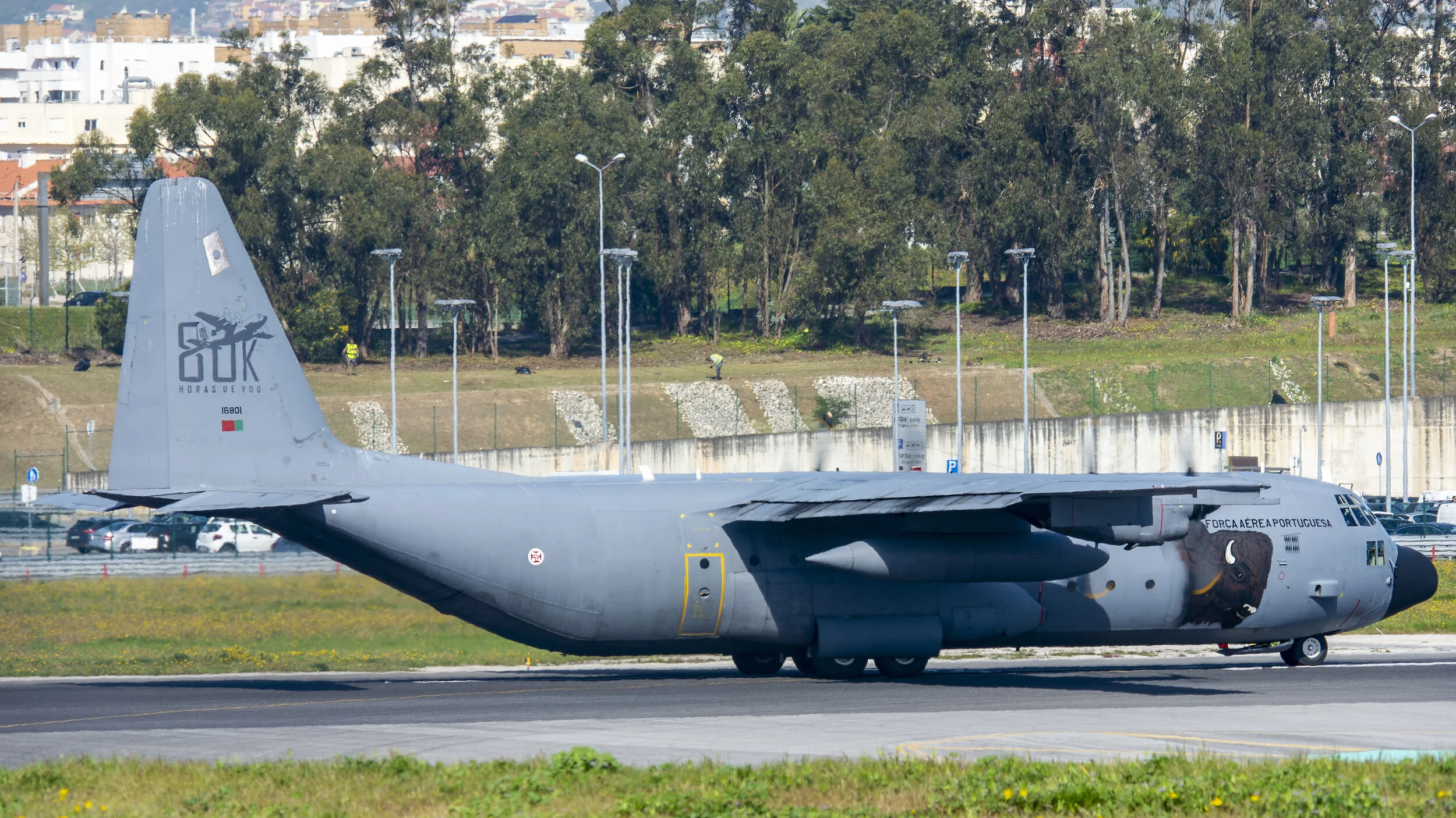 LPPT (Lisbon, Portugal). FAP Portuguese Air Force 16801 Lockheed C-130H Hercules