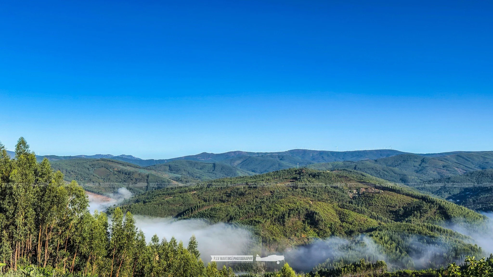 Pampilhosa da Serra