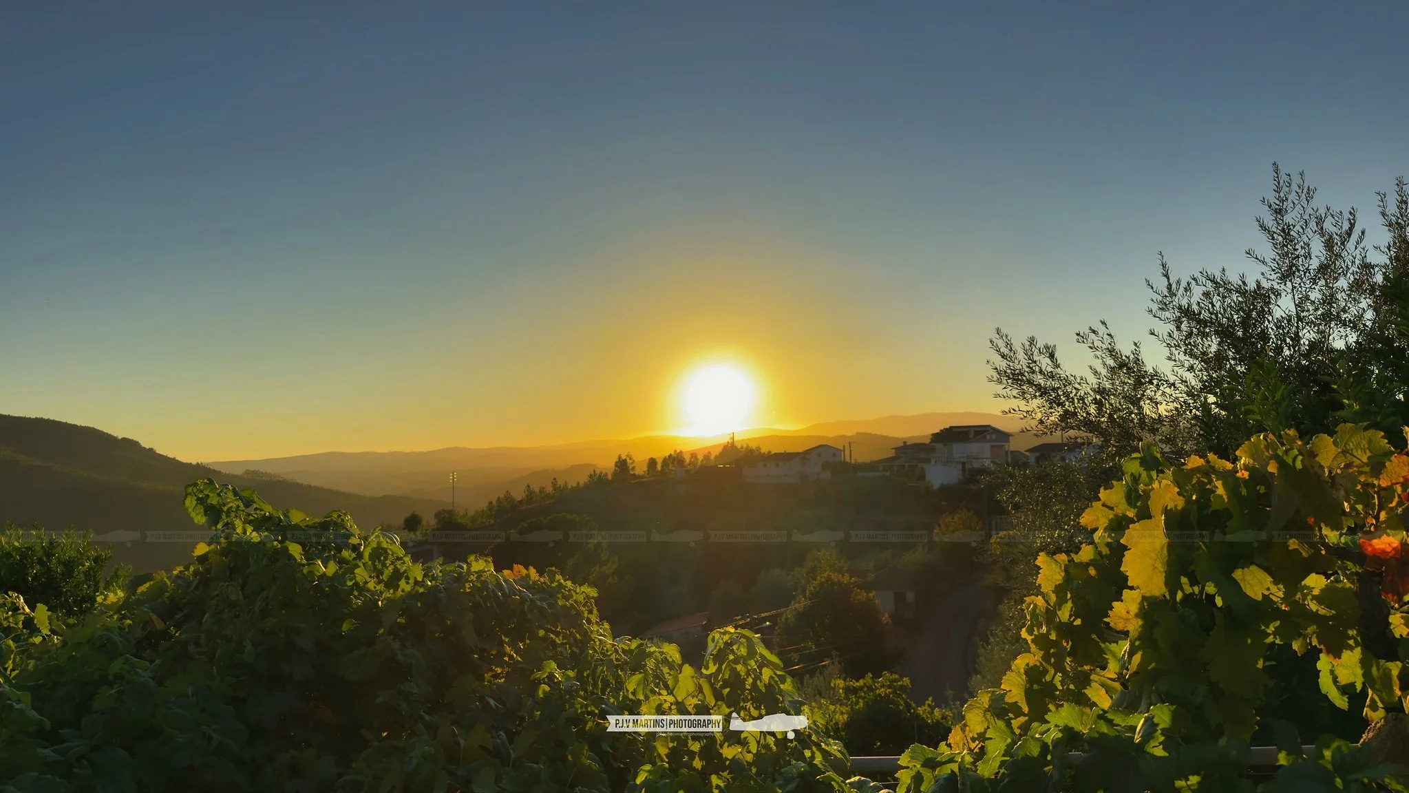 Pampilhosa da Serra