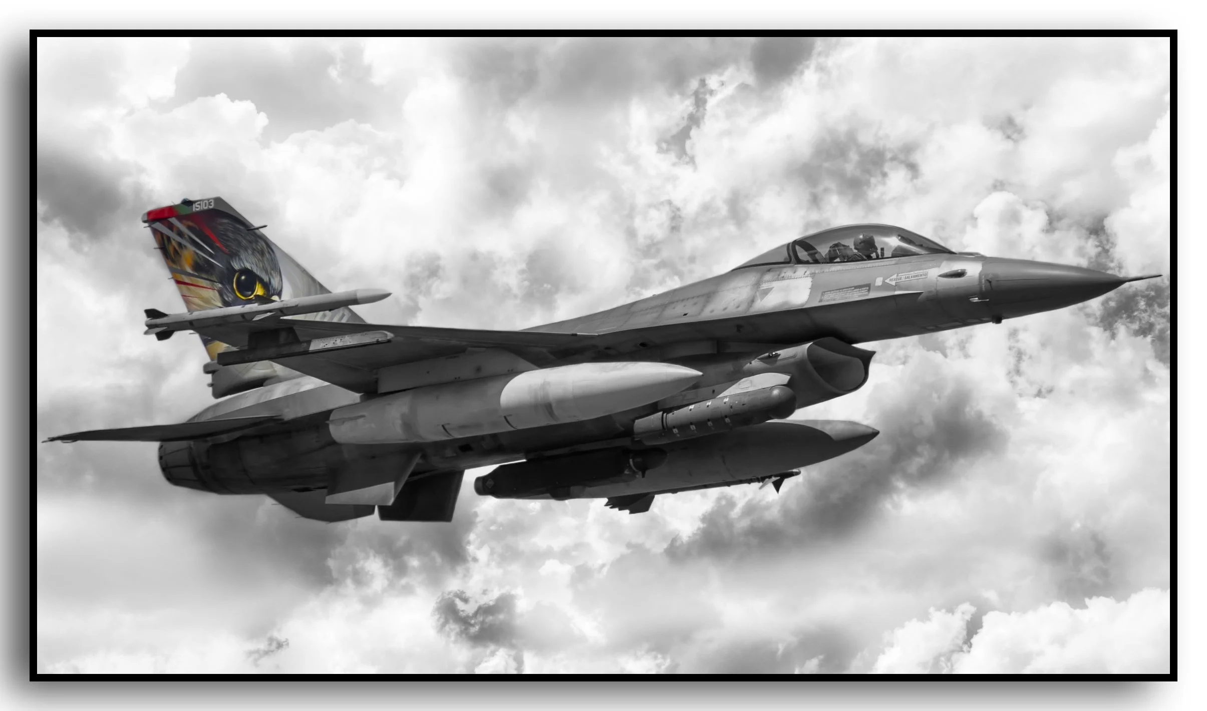 15103 FAP General Dynamics F16MLU