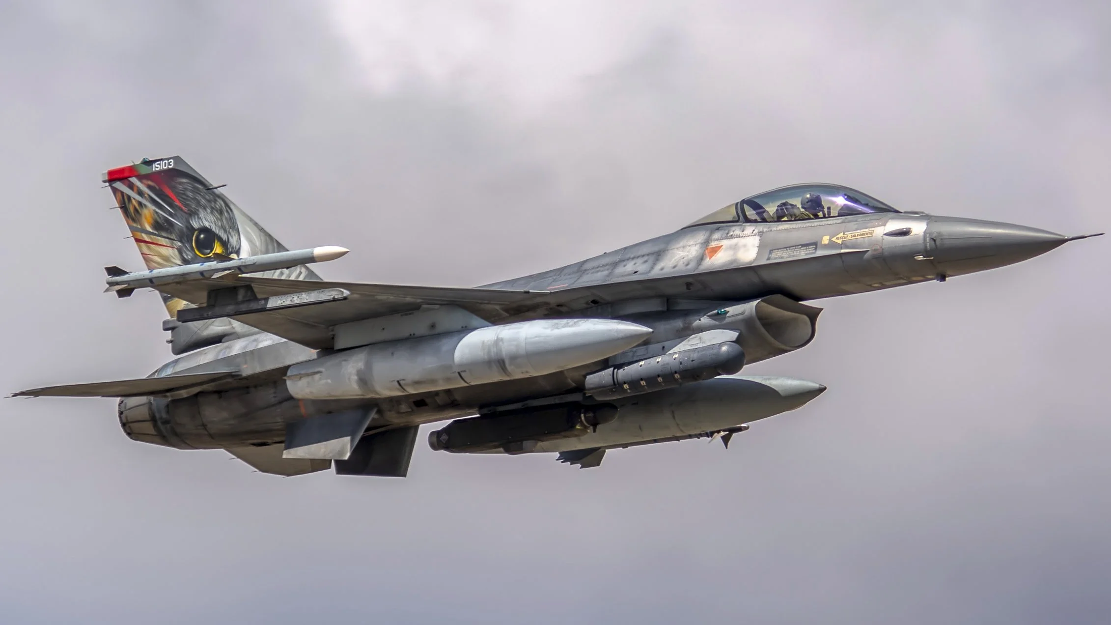FAP 70th Anniversary  BA Nº11 LPBJ - Beja.
FAP 15103 General Dynamics F-16MLU Special Livery