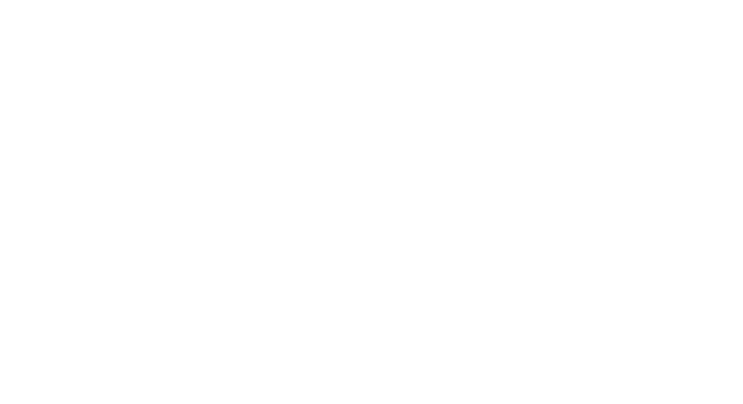 Luis Cameraman