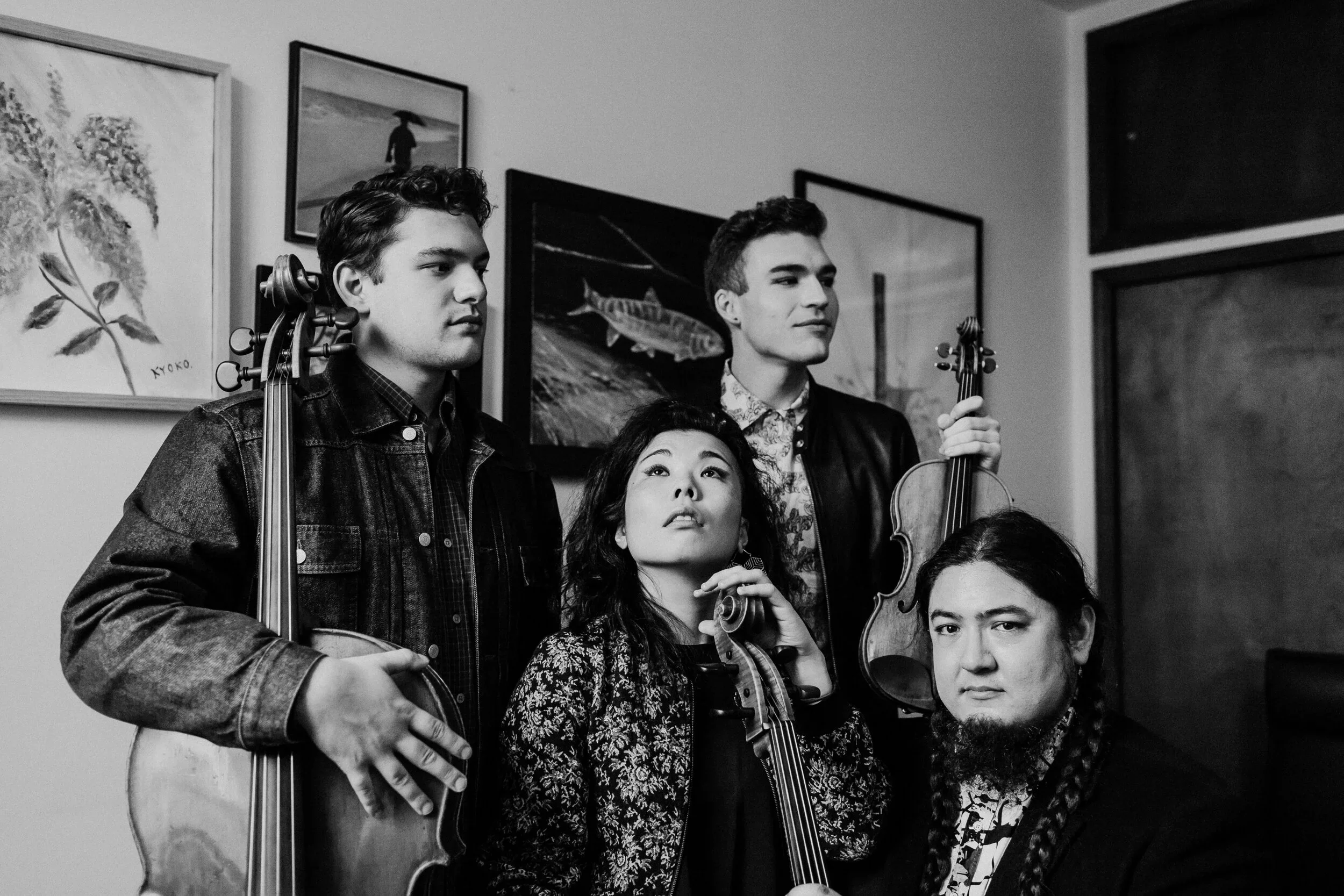 Owls | Nova Linea Musica