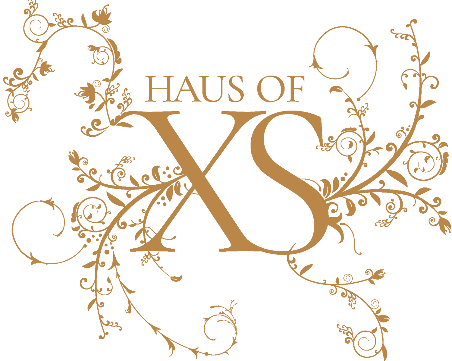 HAUS OF XS