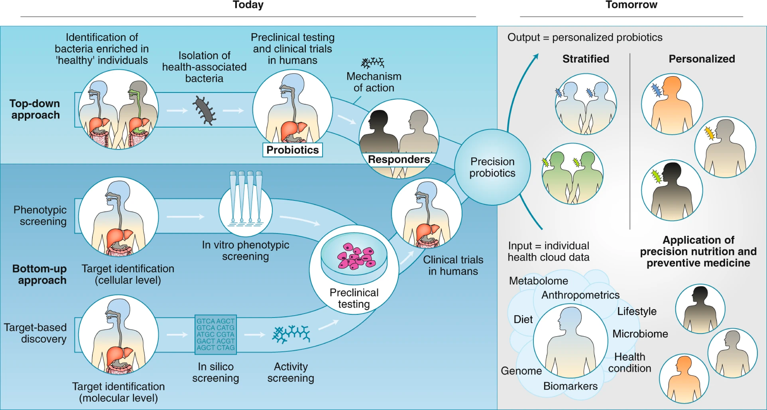 New review in Nature Microbiology