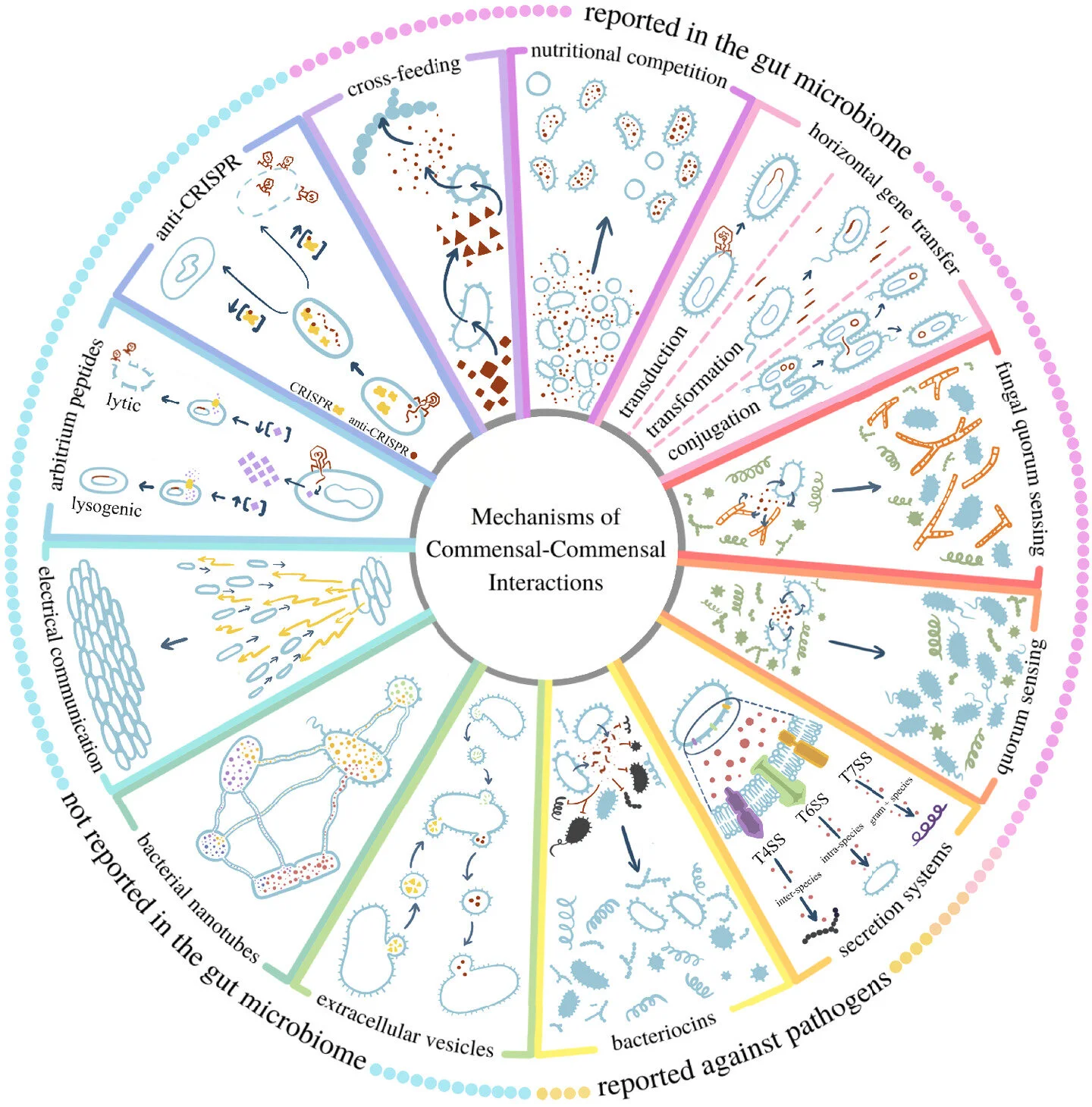 New review on mechanisms of microbial interactions!