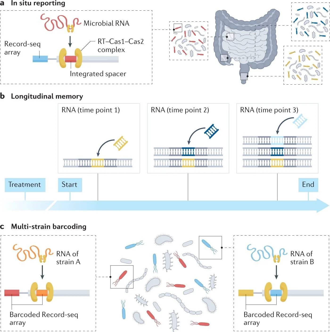 New commentary in Nature Reviews Gastroenterology!