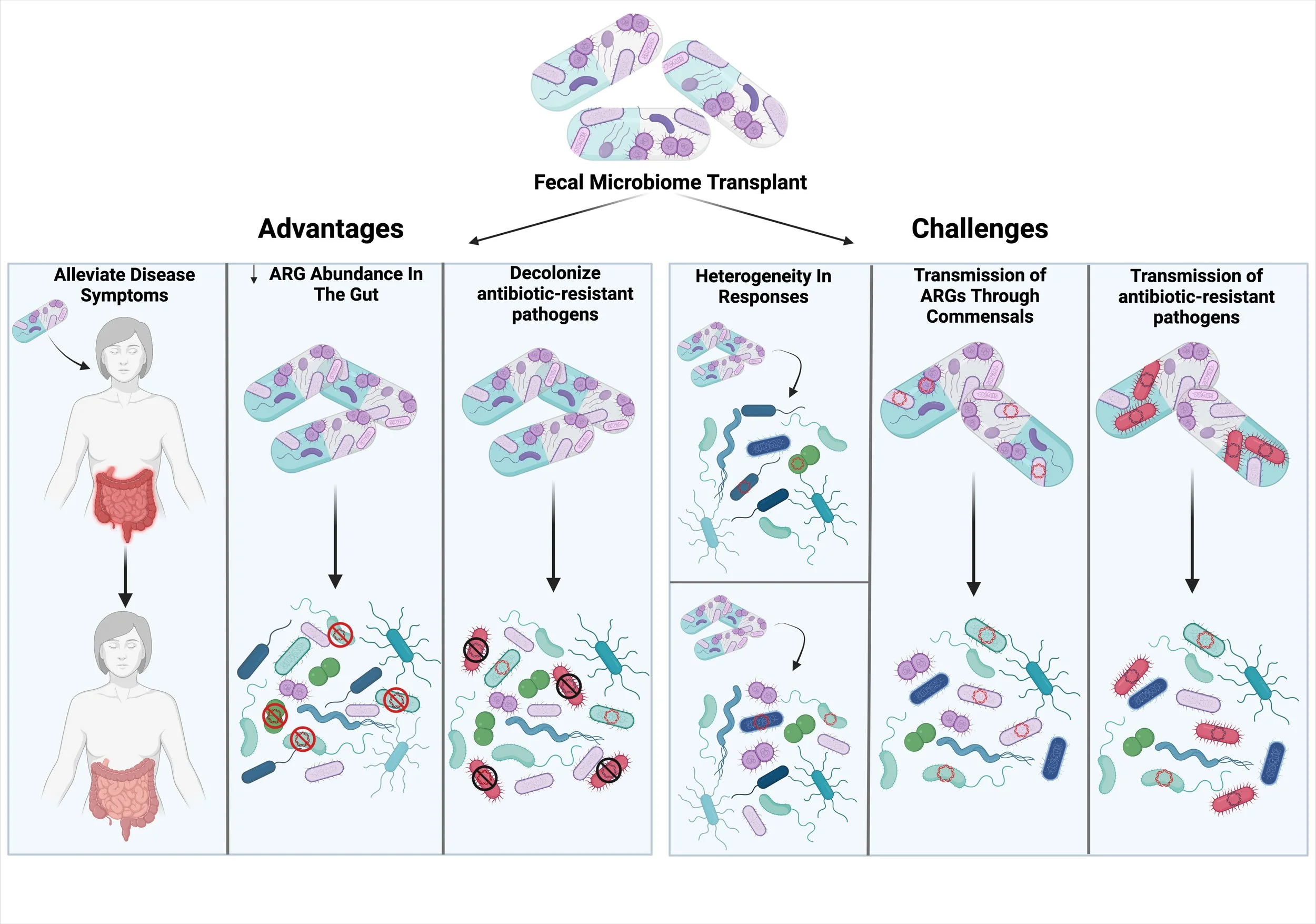 New review on microbiome transplants and antibiotic resistance!