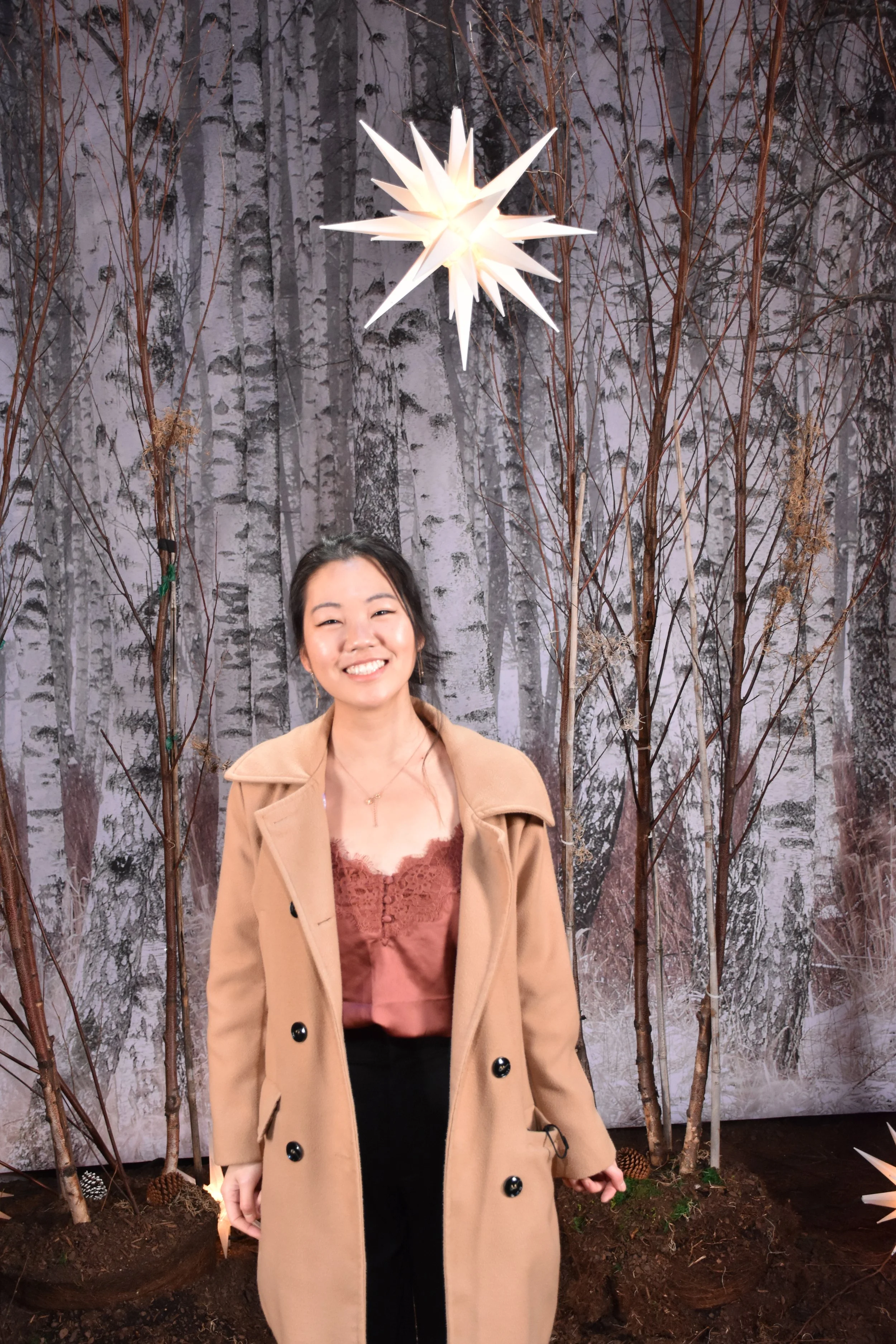 Lily | Lab fun day Dec '21 (Enchant Christmas DC)