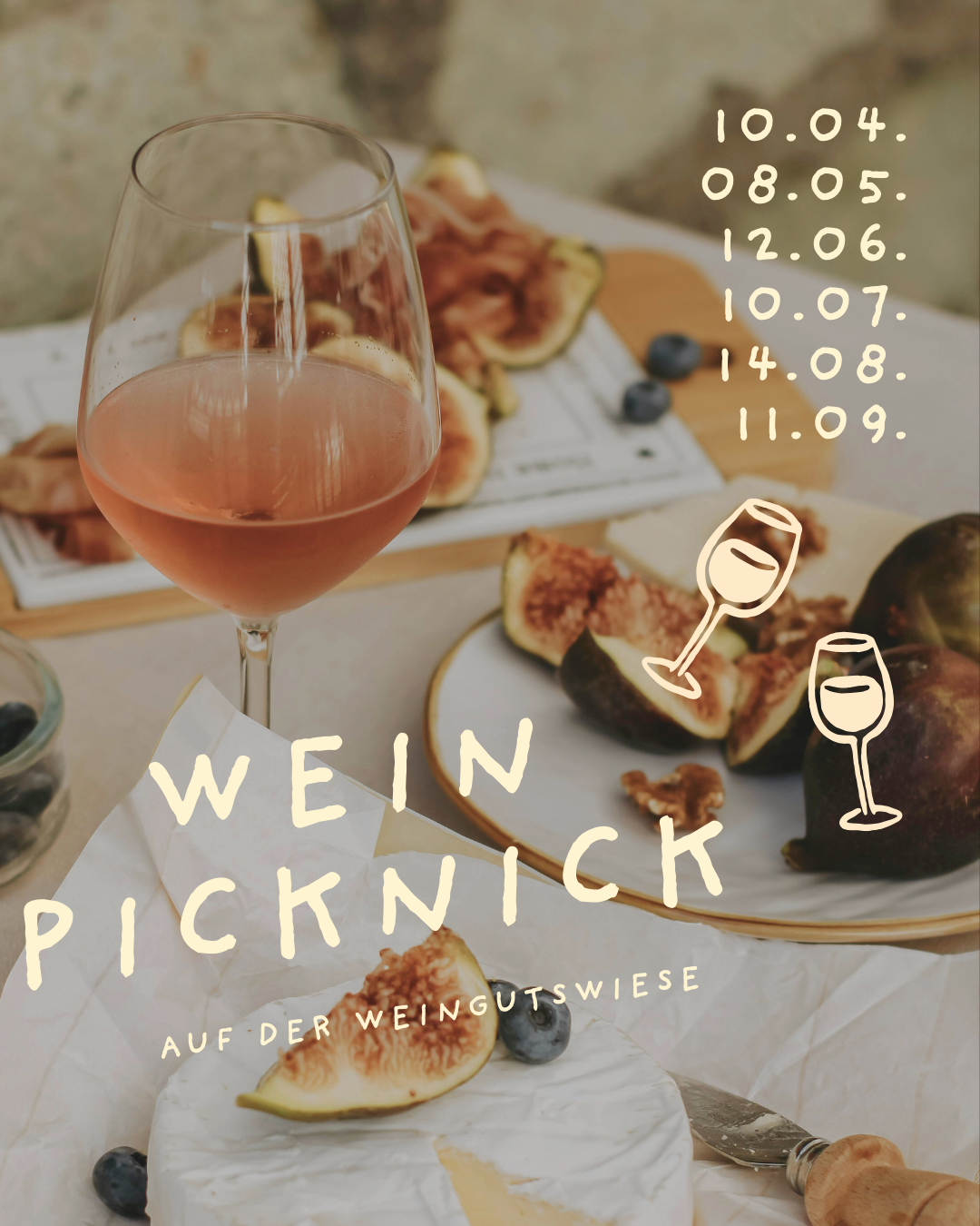 Wein-Picknick 2026 – Sommergenuss auf der Weingutswiese (Kopie)
